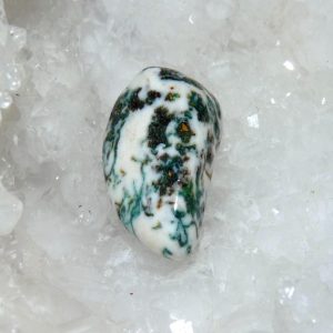 Agate Arbre, pierre roulée