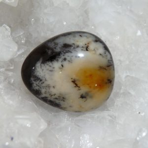 Agate Dendritique, pierre roulée