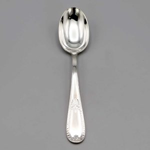 Cuillère de table AIGLON 21 cm