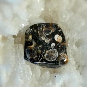 Agate Turitellle (Agate Fossile), pierre roulée