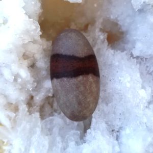 Shiva lingam, pierre roulée